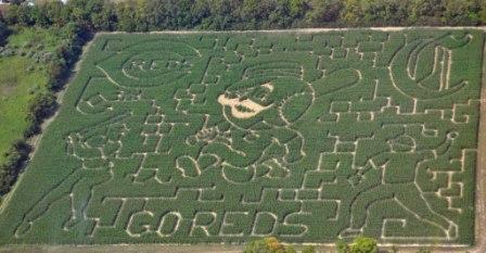 Corn_Maze_2012