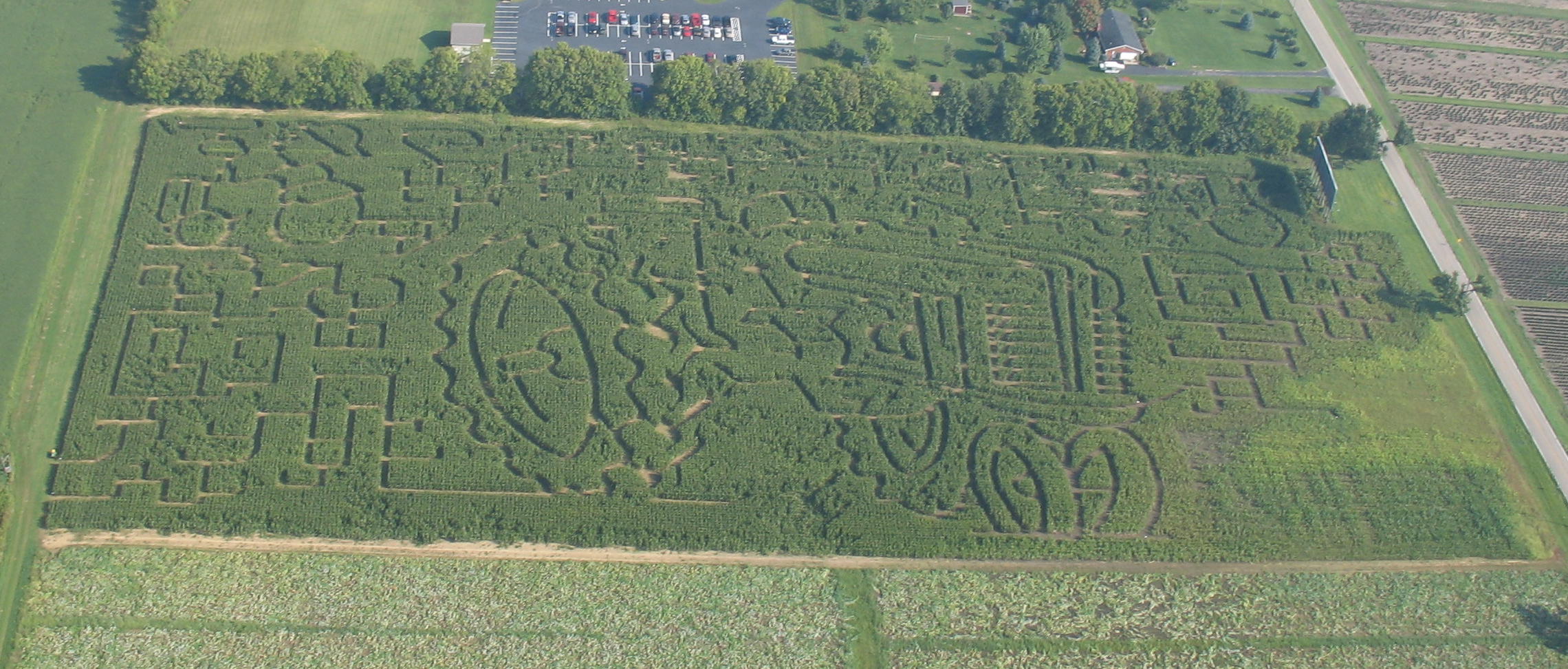 Irons_maze_2006_-_2