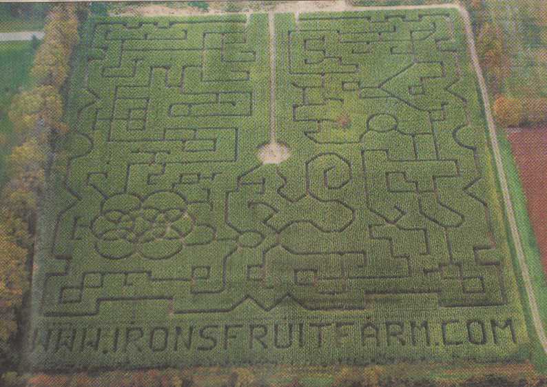 Corn Maze - 2001 (addition of website)