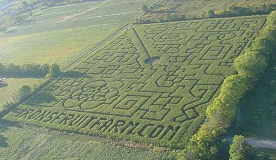 Corn Maze - 2002 (USA and flag in bottom left and the word Amazing in top right)