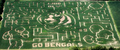Maze2007