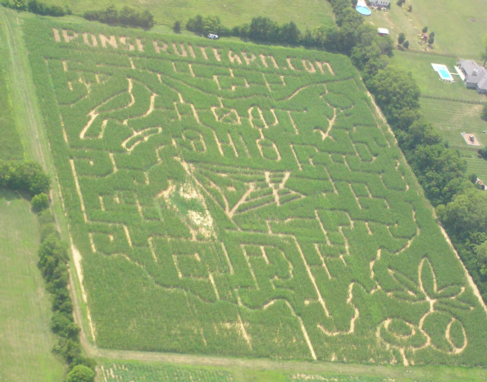 cornmaze2005