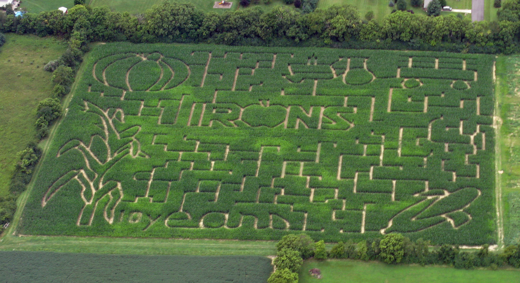 cornmaze2009